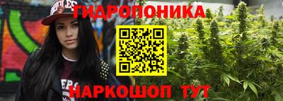 a pvp Будённовск