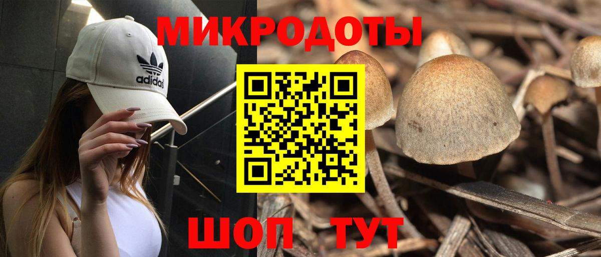 Ноябрьск  Псилоцибиновые грибы Magic Shrooms  Вход с VPN 